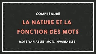 miniature de le video COMPRENDRE LA NATURE ET LA FONCTION DES MOTS : mots variables, mots invariables.