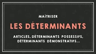 miniature de le video LES DÉTERMINANTS : articles, déterminants possessifs, déterminants démonstratifs...